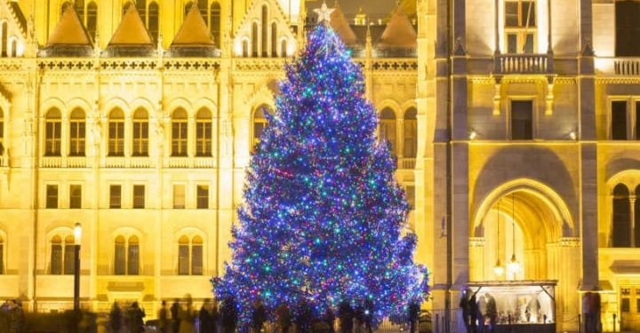 გამორჩეული ნაძვის ხეები მსოფლიოდან – ფოტოები