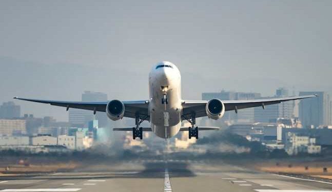 ვგეგმავთ, თებერვლიდან  გავაუქმოთ ყველა შეზღუდვა საერთაშორისო ფრენებზე – ნათია თურნავა