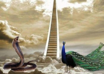 განდევნა ღმერთმა გველი და ფარშევანგი სამოთხიდან?  – მითი და  რეალობა