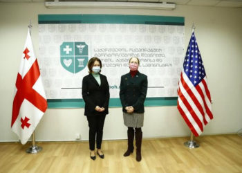 საქართველოში პირველად Pfizer-ი შემოვა – ტიკარაძე დეგნანს შეხვდა