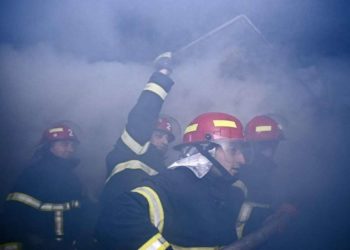 საქართველოში ტყისა და მინდვრის ხანძრები ლიკვიდირებულია