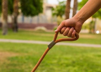 კანადაში დააჯარიმეს ქალი, რომელიც კომენდანტის საათის დროს ქმარს ძაღლის საბელით ასეირნებდა🐕‍🦺