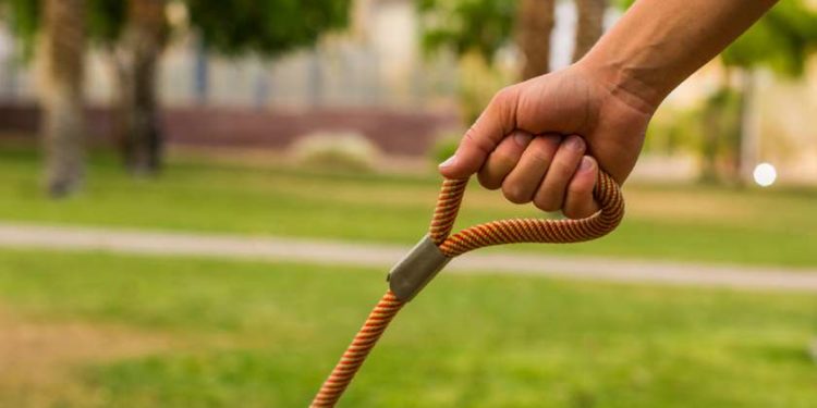 კანადაში დააჯარიმეს ქალი, რომელიც კომენდანტის საათის დროს ქმარს ძაღლის საბელით ასეირნებდა🐕🦺