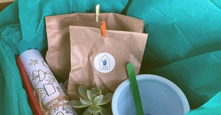 “პატარა მებაღე” – სახალისო და შემეცნებითი პროცესი ბავშვებისთვის