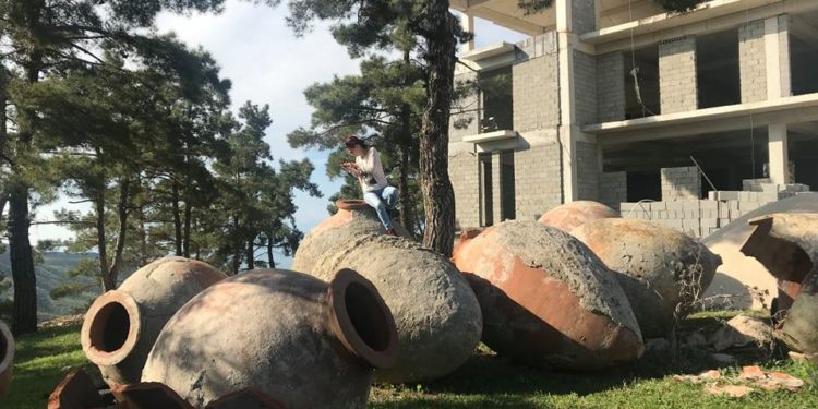 „ბალავარის“ მრავალფუნქციური კომპლექსი – რა უნიკალური თვისებებით იქნება ის გამორჩეული