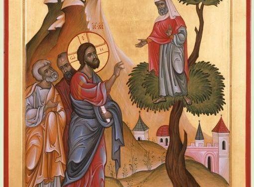 ზაქეს კვირა- ანუ სურვილის კვირა