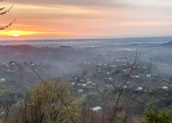 ქობულეთის სოფელი ჯიხანჯური ცოფის 3 შემთხვევის გამო კარანტინშია