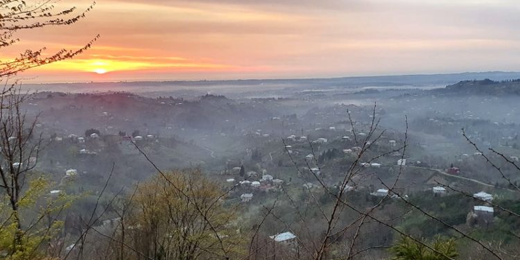 ქობულეთის სოფელი ჯიხანჯური ცოფის 3 შემთხვევის გამო კარანტინშია
