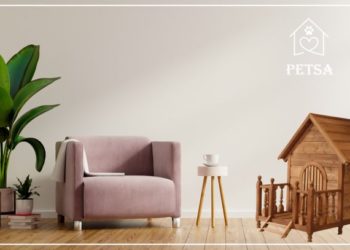 ეკოლოგიურად სუფთა, კომფორტული სახლები შინაურ ცხოველებს – „ფეთსა”