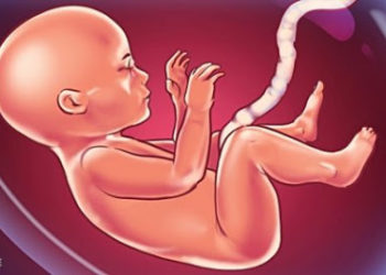 რისგან იღებს სიამოვნებას ბავშვი საშვილოსნოში ყოფნისას