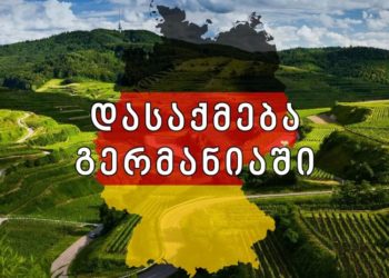 გერმანულ მხარეს რაოდენობაზე ჩვენთვის შეზღუდვები არ დაუწესებია – ტიკარაძე