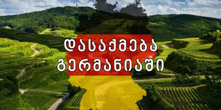 გერმანულ მხარეს რაოდენობაზე ჩვენთვის შეზღუდვები არ დაუწესებია – ტიკარაძე