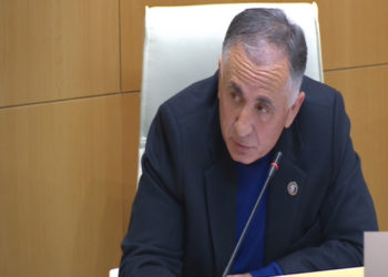 ბეჟან წაქაძე მიწის მოცდენის გადასახადის დაწესების ინიციატივით გამოდის