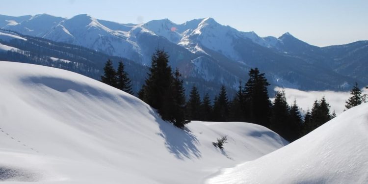 გომის მთაზე 24 წლის ბიჭი გაიყინა, მისი ორი მეგობრის მდგომარეობა მძიმეა