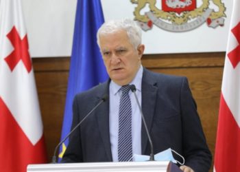 მასობრივი ვაქცინაცია დიდი ალბათობით ივლისში დაიწყება – გამყრელიძე