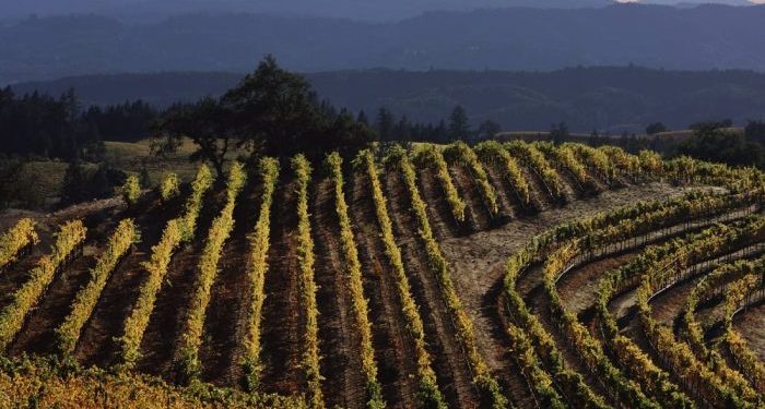 უფასო საცხოვრებელი და 10 000 აშშ დოლარი თვეში – ვაკანსიაზე განაცხადის მიღება ივნისის ბოლომდე გრძელდება