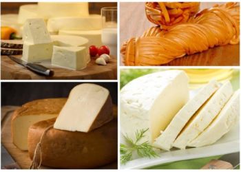 ეკოლოგიურად სუფთა პროდუქტი – საიდან იქმნება „დანსეტის“ მარაგი