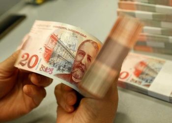 საქართველოს ეროვნული ვალუტა მყარდება