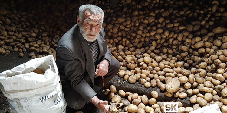 ახალქალაქში კარტოფილი უფუჭდებათ – მოსახლეობა დახმარებას ითხოვს