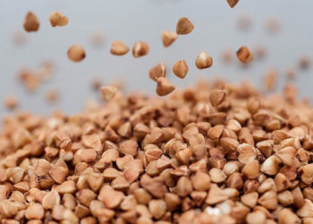 საქართველოში წიწიბურა აღარ შემოვა? – რუსეთმა  წიწიბურას ექსპორტი აკრძალა