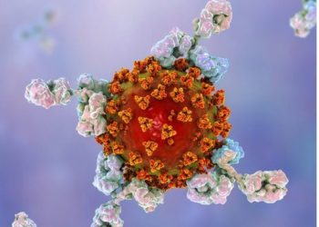 კოვიდგადატანილებს იმუნიტეტი შესაძლოა, ცხოვრების ბოლომდე შეუნარჩუნდეთ: კვლევის შედეგები