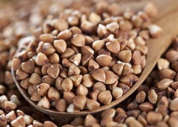 რუსეთმა წიწიბურას ექსპორტი დროებით შეაჩერა – როგორ აისახება ეს საქართველოზე