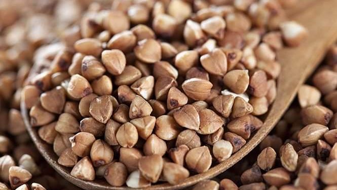 რუსეთმა წიწიბურას ექსპორტი დროებით შეაჩერა – როგორ აისახება ეს საქართველოზე