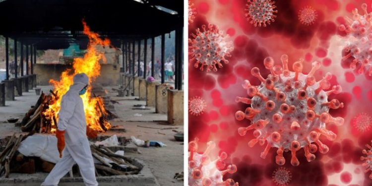 ინდოეთში კოვიდგადატანილი პაციენტები იშვიათ, მომაკვდინებელ ინფექციას ებრძვიან