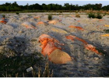 BBC: ინდოეთში, მდინარე განგში ასობით გვამი იპოვეს