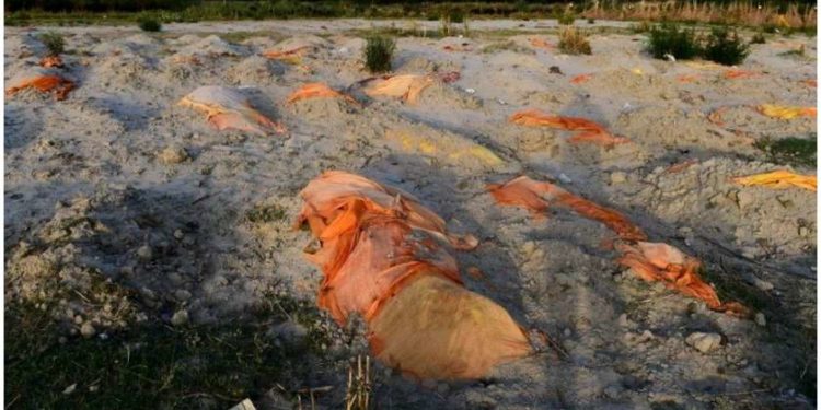 BBC: ინდოეთში, მდინარე განგში ასობით გვამი იპოვეს