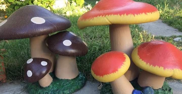 ნაკეთობები მათთვის, ვისაც გამორჩეული ეზო სურს