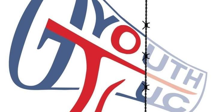 “დასაქმებულთა დიდი ნაწილი შრომის კოდექსს მინიმალურადაც არ იცნობს” – ლიკა ჯოხაძე