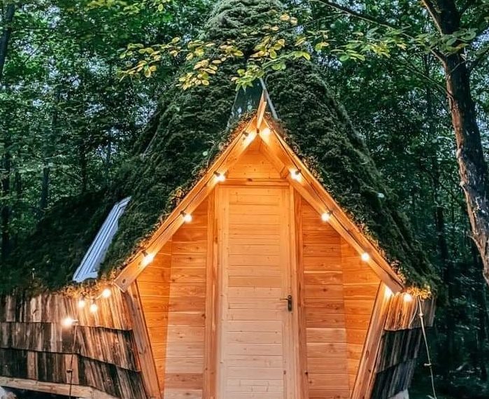 რეალური სამყაროსა და ზღაპრის ზღვარზე – რაჭაში, ტბის პირას