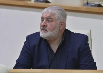 ჯარიმების გაუქმება არსამართლიანია მათთავის, ვინც უკვე გადაიხადა – დამენია