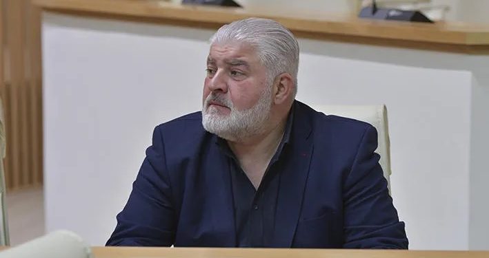 ჯარიმების გაუქმება არსამართლიანია მათთავის, ვინც უკვე გადაიხადა – დამენია