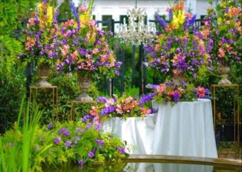 “გარდენია შევარდნაძე” – საუცხოო სივრცე ფოტოსესიებისთვის