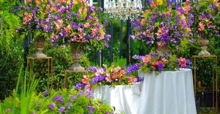 “გარდენია შევარდნაძე” – საუცხოო სივრცე ფოტოსესიებისთვის