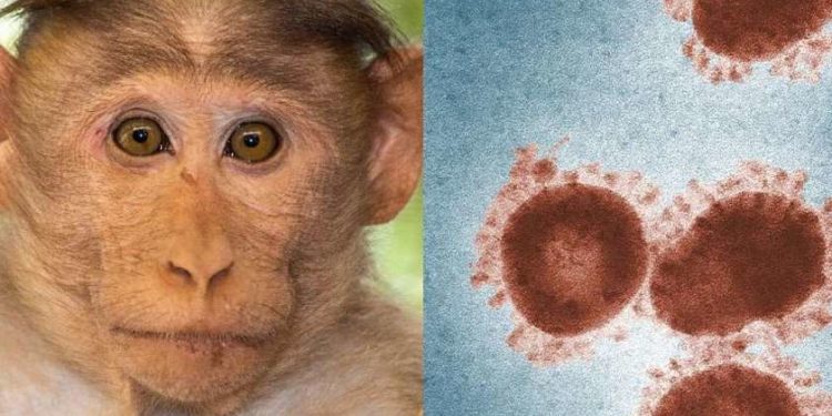 ჩინეთში მაიმუნის ვირუსით ადამიანის გარდაცვალების პირველი შემთხვევა დაფიქსირდა