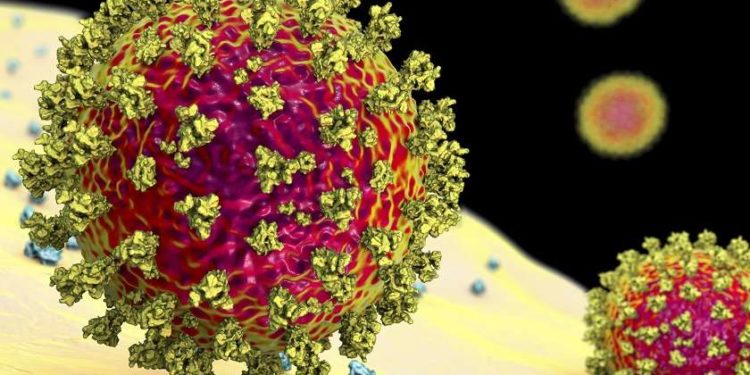 კორონავირუსის „იოტა“ შტამის ლეტალობა შესაძლოა 82%-ს აღწევდეს