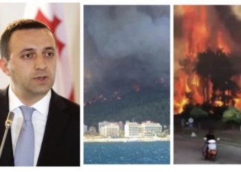 მზად ვარ, მეზობელ თურქეთს ნებისმიერი სახის დახმარება აღმოვუჩინო – ირაკლი ღარიბაშვილი