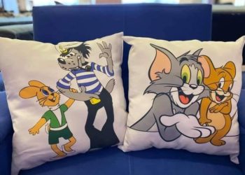 ბალიშები სასურველი ილუსტრაციებით – ბავშვების სიყვარულით დაწყებული საქმიანობა