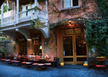 „შავი ლომი“, „ნინიას ბაღი“ და „ლეილა“ სტუმრების მიღების წესებს ცვლიან