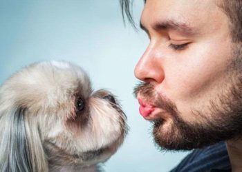 შვეიცარიელმა მეცნიერებმა დაადგინეს, რომ კაცის წვერში მეტი მიკრობია, ვიდრე ძაღლის ბეწვში🐶🦠🧔