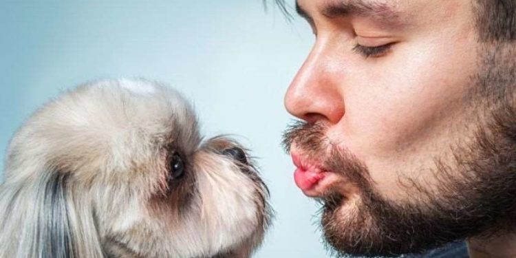 შვეიცარიელმა მეცნიერებმა დაადგინეს, რომ კაცის წვერში მეტი მიკრობია, ვიდრე ძაღლის ბეწვში🐶🦠🧔