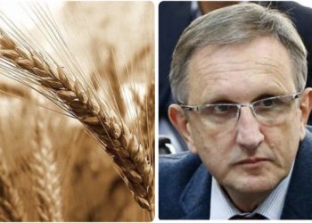 “ მსოფლიო ებრძვის ხორბლის მაღალ ფასებს” – ლევან სილაგავა