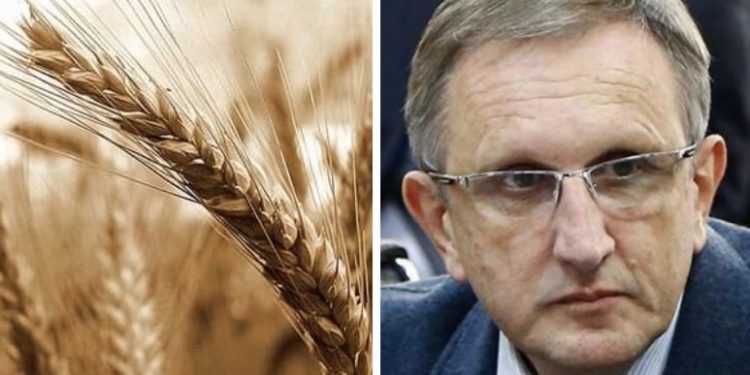 “ მსოფლიო ებრძვის ხორბლის მაღალ ფასებს” – ლევან სილაგავა