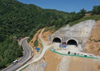 რიკოთზე მოძრაობა აღდგა