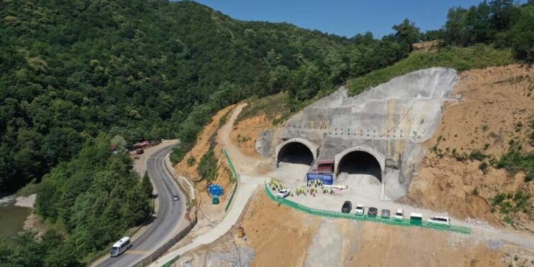 რიკოთზე მოძრაობა აღდგა