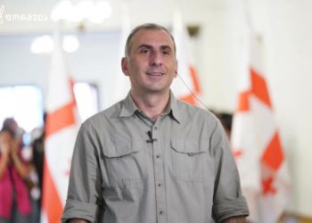 ელისაშვილი: გუშინ მთელი დღე ღვინოს ვიღებდი და არ ვიცი, რა ხდებოდა აქციაზე