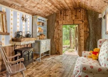 გიოცნებიათ ვინი პუჰის ქოხში მოხვედრაზე?…